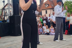 2023-05-20-Auftritt-Boogie-Stadtjubilum-Rthenbach-24